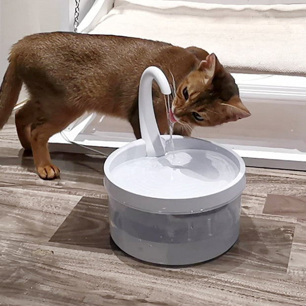 Cat Drinking Fountain Pet