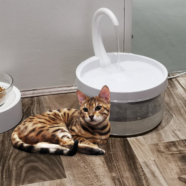 Cat Drinking Fountain Pet
