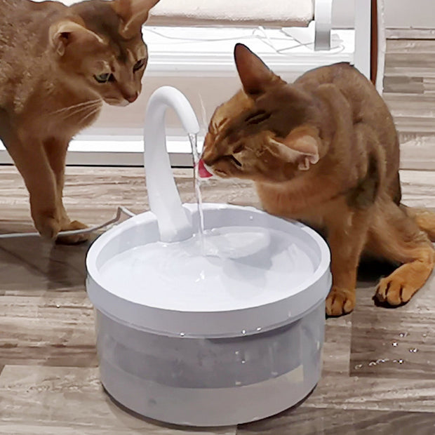 Cat Drinking Fountain Pet